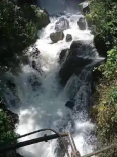 旅途/风之旅人