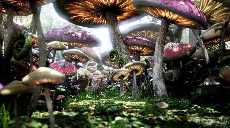 观点变化了态度自然变化吗？游戏画面